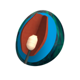 Piranha PowerCOR Pearl